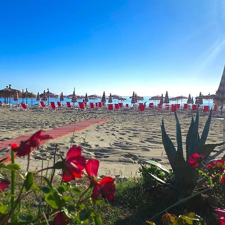 Hotel Silvi Silvi Marina Zewnętrze zdjęcie