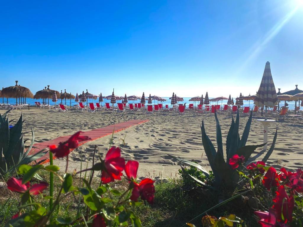 Hotel Silvi Silvi Marina Zewnętrze zdjęcie
